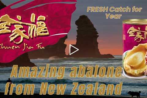 Where To Buy New Zealand Canned Abalone In Singapore | 2023 CNY Deals