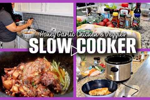 STEP-BY-STEP Honey Garlic Chicken and Vegetables Recipe | Slow Cooker Meal!