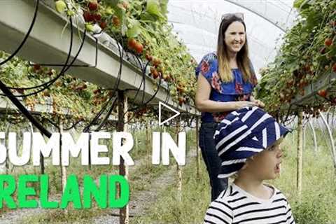 Summer in Ireland with Gemma Stafford | Bold Baking Vlogs #3