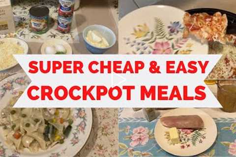 CRCOKPOT MEALS! SUPER CHEAP AND EASY! Creamy Chicken & Noodles! Baked Ziti!