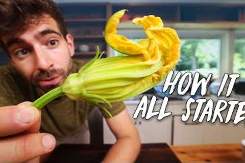 Getting Creative with Zucchini Flowers (life update)