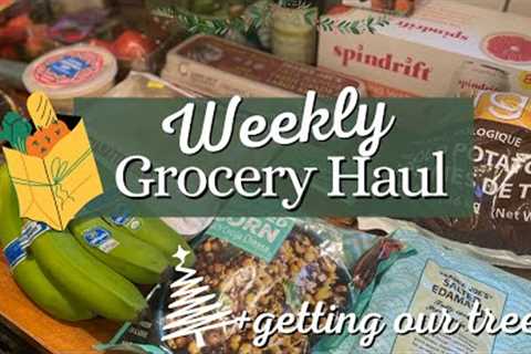 Weekly Grocery Haul | Vlogmas | Getting Our Tree!