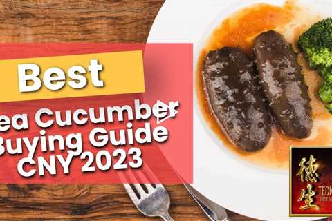 Best Sea Cucumber Price CNY [2023] in Singapore |  Buy for best Sea Cucumber Recipes Chinese Style