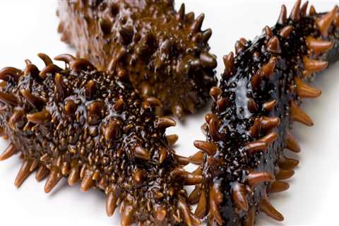Is dried sea cucumber healthy?