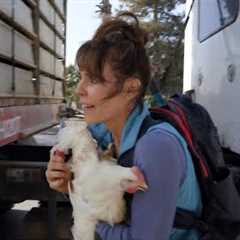‘Baywatch’ Star Alexandra Paul Found Not Guilty of Theft