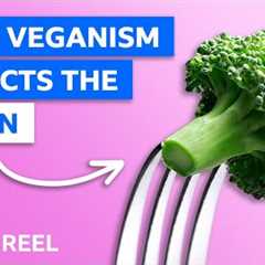 How a vegan diet affects your brain – BBC REEL