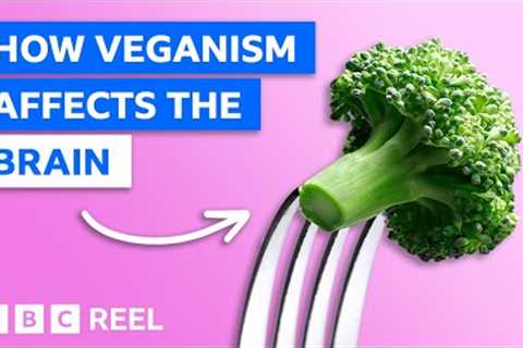 How a vegan diet affects your brain – BBC REEL