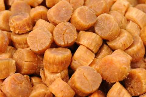 Are Dried Scallops a Healthy Source of Protein?