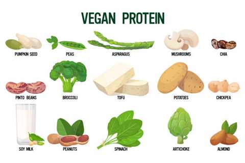 Vegan Breakfast – A Beginner’s Guide to Plant-Based Protein