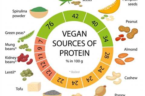 Where Can I Find Vegan Breakfast Protein?