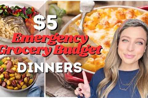 $5 Dinners | Emergency Grocery Budget | EXTREME Budget Meals
