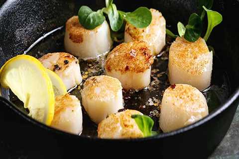 Are Dried Scallops a Nutritious Source of Riboflavin?