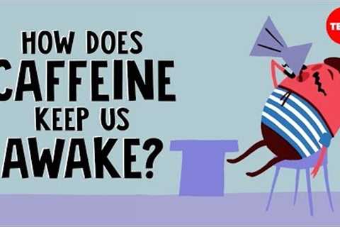How does caffeine keep us awake? - Hanan Qasim
