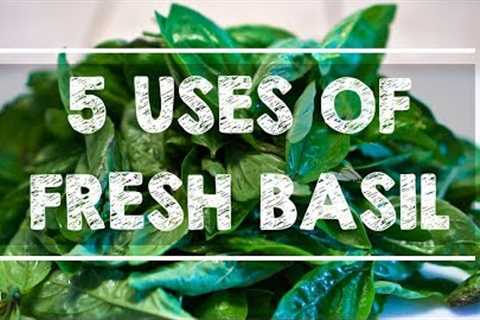 5 Uses of FRESH BASIL