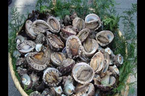 Sustainability Benefits of Buying Canned Abalone Products