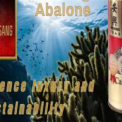 Shocking Revelations: Pros and Cons of Budget-Friendly Canned Abalone Brands!
