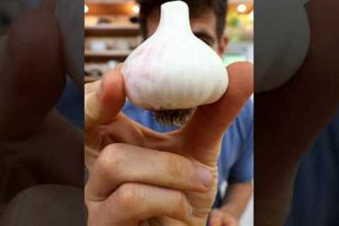 Never Buying Garlic Again 🧄