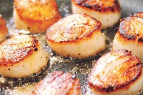 Are Dried Scallops a Nutritious Source of Thiamin?