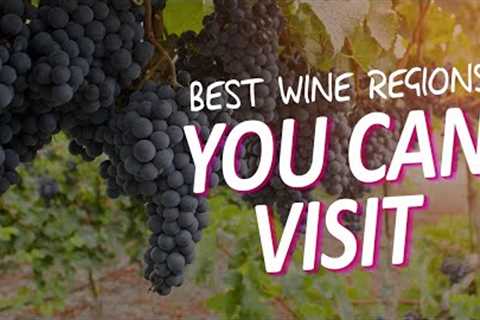 Unique Wineries & Experiences You Must Try Around The World