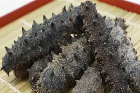 How to Boil Sea Cucumber for Perfection