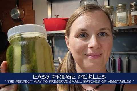 Look How Easy it is to Make Fridge Pickles!!