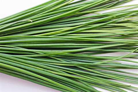 Chives - The Versatile Herb For Freshness and Aesthetics!