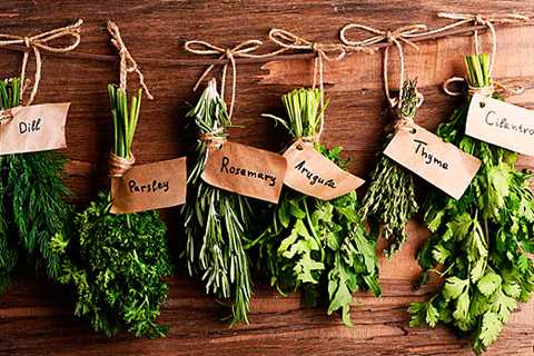 Enhance Your Health With Nutrient-Packed Herbs