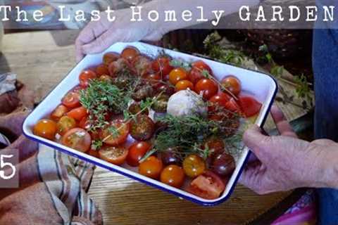 Tomato Harvest and a quick outdoor CHUTNEY #5