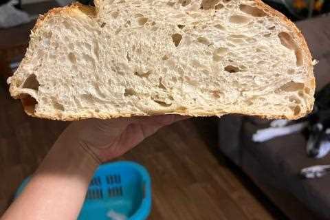 Tips for a more open crumb?