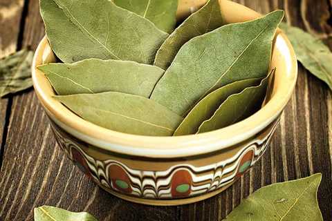 Bay Leaves - Infusing Your Dishes With Subtle Aromas!