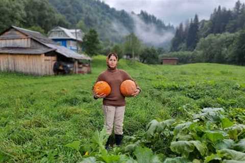 THE WOMAN LIVES ALONE IN THE MOUNTAINS.  Cooking pumpkin porridge in the oven