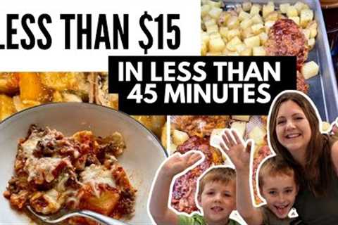 3 Tasty Weeknight Dinners My Family Loved!  Budget Meals For Under $15 and Under 45 Minutes!