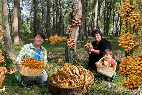 The most delicious pickled honey mushrooms for the winter, they are just like fresh! MUSHROOMS .