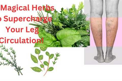 12 Ancient Herbs to Supercharge Your Leg Circulation – Are You at Risk?