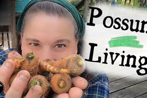 9am~ Possum Living ~Every Single Thing Counts!