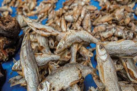 Proper Storage Methods for Different Types of Dried Seafood: A Comprehensive Guide