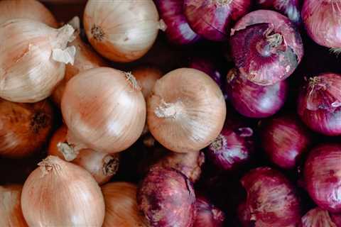 Which Onion is Good for Health: Red or White? The Verdict - Flank Waltham