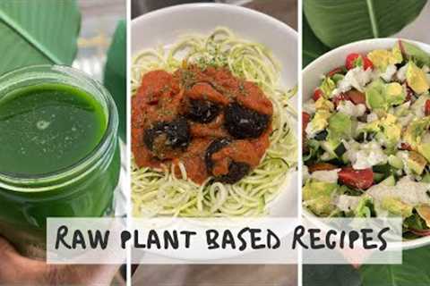 raw plant based what I eat in a day