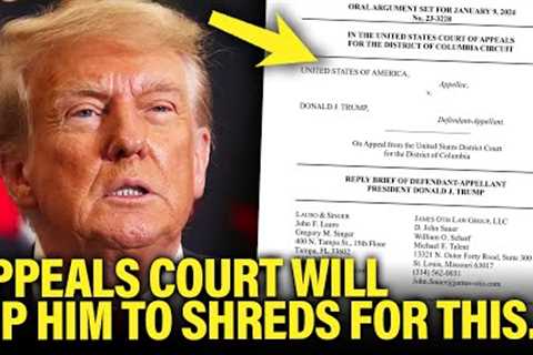 Trump Makes SHOCKING AND DESPERATE Citation in Appeals Reply