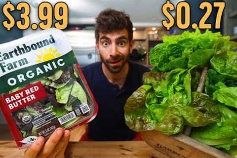 Why I'm Never Buying Lettuce Again...