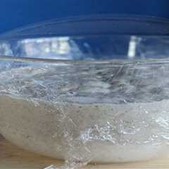 Sourdough starter primer