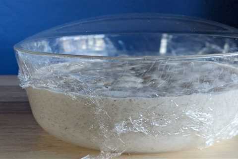 Sourdough starter primer