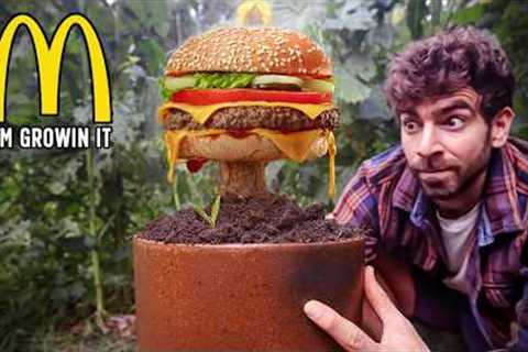 I grew a Mcdonalds #2 meal