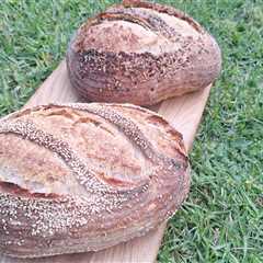 Cake flour sourdough breads