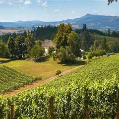 Savoring Jerky And Wine In Willamette Valley: A Unique Regional Experience