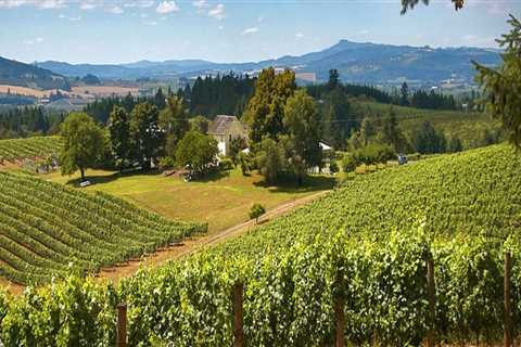 Savoring Jerky And Wine In Willamette Valley: A Unique Regional Experience