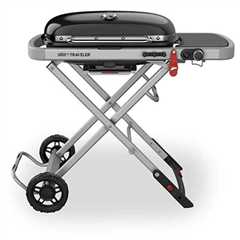 The 7 Best Portable Grills in 2025