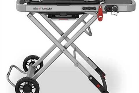 The 7 Best Portable Grills in 2025